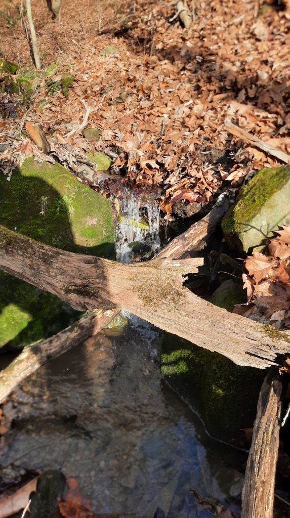 Water falls from under the dense leaf layer